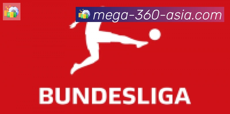 360直播合作伙伴
